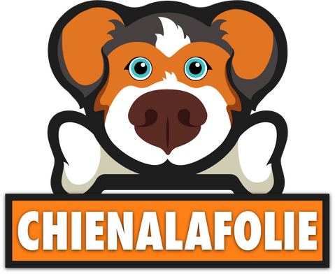 Boutique Chienalafolie