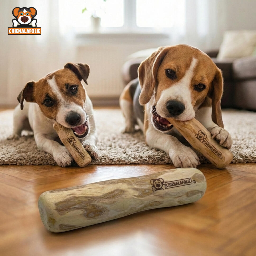 Deux_chiens_profitant_de_leur_seance_de_mastication_avec_des_bois_de_cafe_Chienalafolie Deux_chiens_profitant_de_leur_seance_de_mastication_avec_des_bois_de_cafe_Chienalafolie