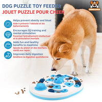 Jouet Puzzle Chien Nourrissant IQ Anti-Glouton Fun