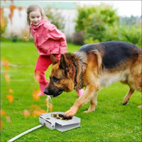 Abreuvoir Extérieur Haute Qualité Pour Chien - CJJJCWGY00224 - default - Abreuvoirs - Chienalafolie