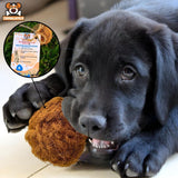 Pet Playing with Small Size Coconut Chew Ball
