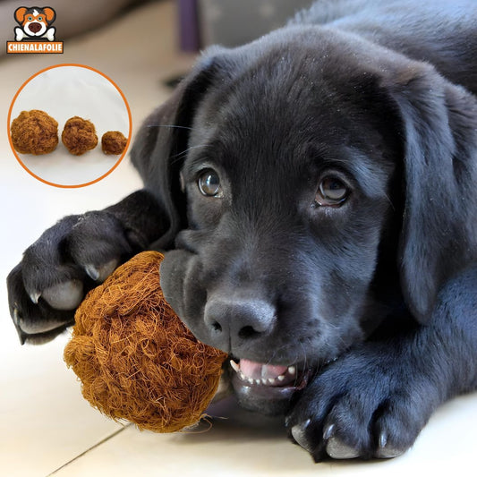 Coconut ball to chew for dogs 