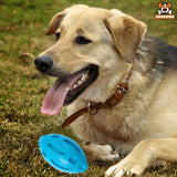 Balle de Rugby Sonore pour Chiens - CJGY118886501AZ - Balles - Chienalafolie