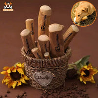 Bucket Full of Coffee Wood Sticks
