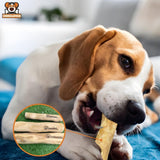 Bois de café à mâcher pour chien - coffee wood chew stick - M - Bâtons naturels - Chienalafolie