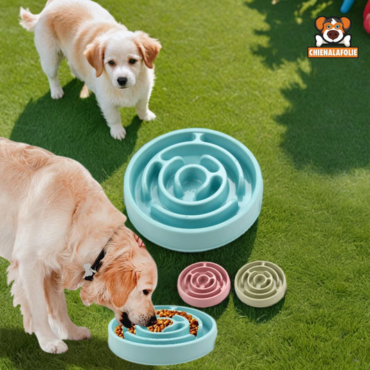 Bol à Alimentation Lente pour Chien