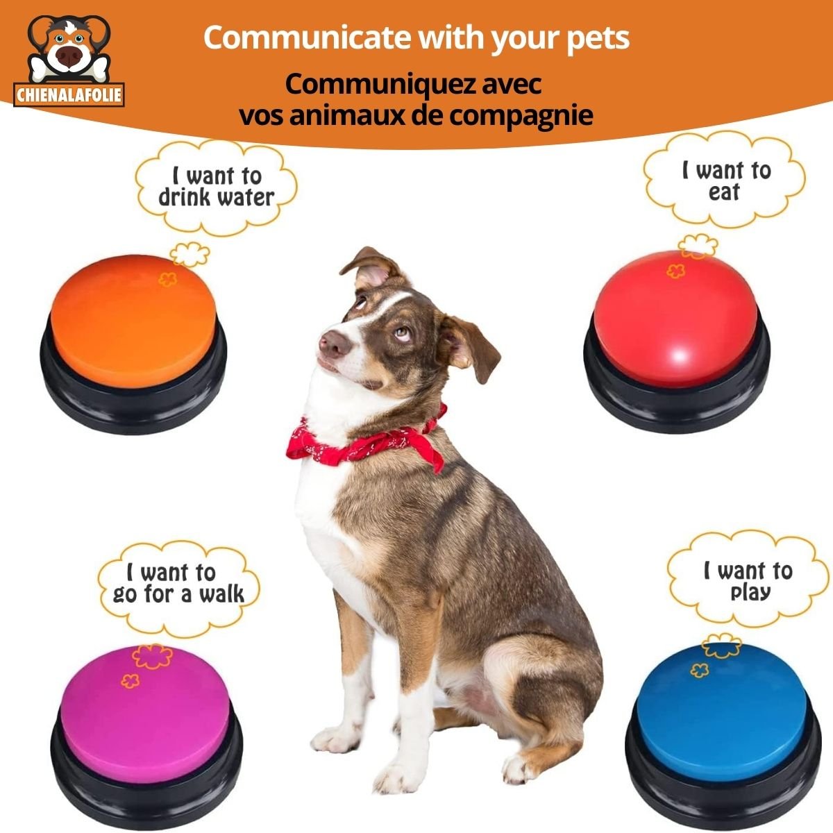 Bouton Enregistrement Vocal pour Chien - CJGY211121401AZ - Boutons enregistreurs - Chienalafolie