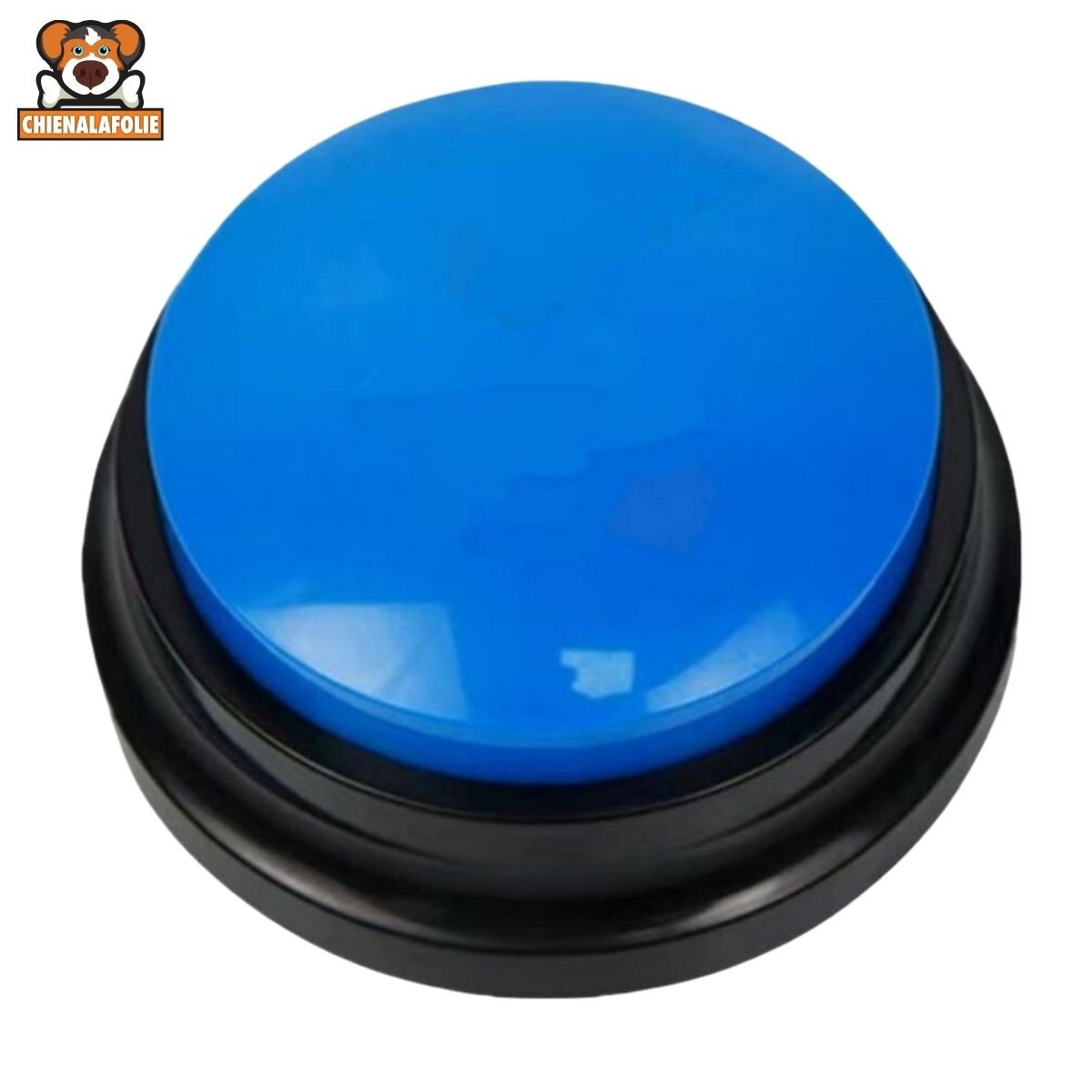 Bouton Enregistrement Vocal pour Chien - CJGY211121401AZ - Boutons enregistreurs - Chienalafolie