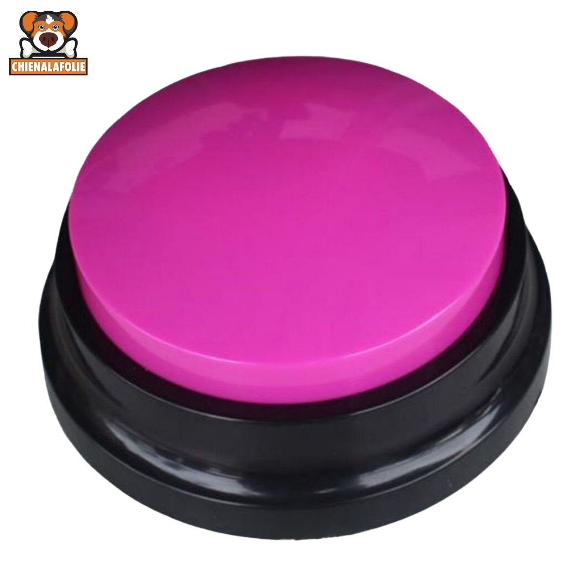 Bouton Enregistrement Vocal pour Chien - CJGY211121402BY - Boutons enregistreurs - Chienalafolie