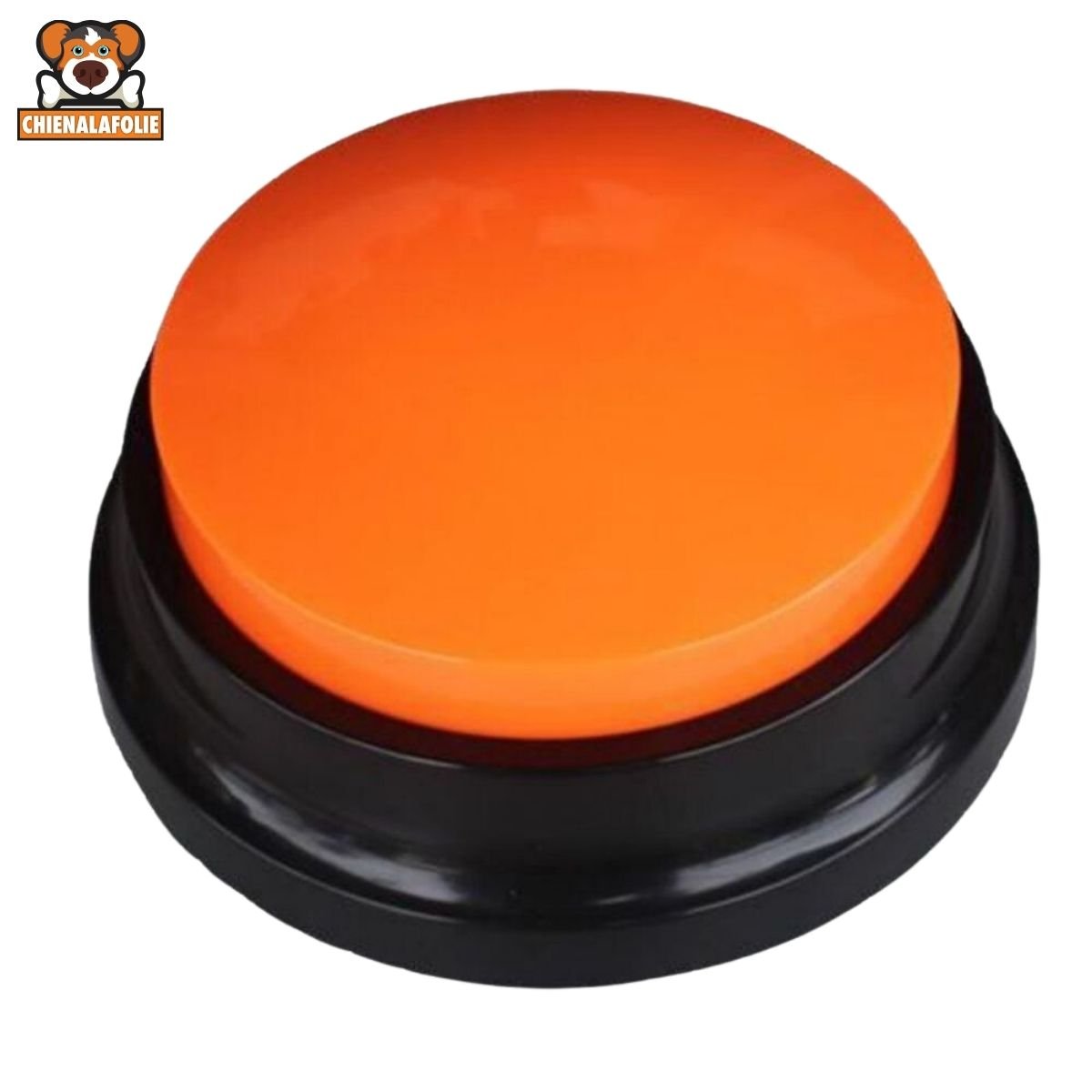 Bouton Enregistrement Vocal pour Chien - CJGY211121403CX - Boutons enregistreurs - Chienalafolie