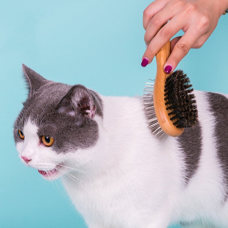 Brosse Double Face pour Chien et Chat - CJGY105293001AZ - Peignes et brosses - Chienalafolie