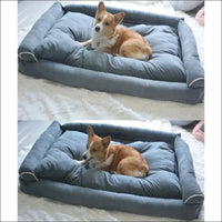 Chien assis sur un canapé
