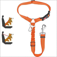Ceinture De Sécurité Réglable Pour Animaux - CJGY174522005EV - Laisses - Chienalafolie