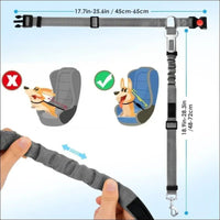 Ceinture De Sécurité Réglable Pour Animaux - CJGY174522007GT - Laisses - Chienalafolie