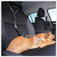 Ceinture De Sécurité Réglable Pour Animaux - CJGY174522007GT - Laisses - Chienalafolie