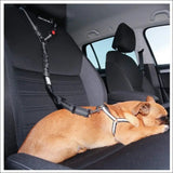 Ceinture De Sécurité Réglable Pour Animaux - CJGY174522007GT - Laisses - Chienalafolie