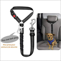 Ceinture De Sécurité Réglable Pour Animaux - CJGY174522007GT - Laisses - Chienalafolie