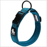 Collier Réglable Pour Chiens - CJGX103555417QJ - Colliers - Chienalafolie