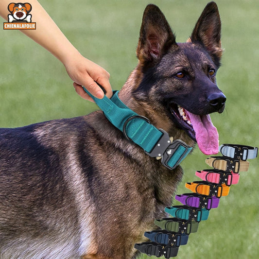 Collier Tactique Premium pour Chien
