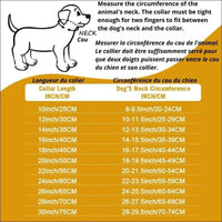 Colliers Robustes En Chaîne Pour Chien - 14:29#Gold;5:361386#14inch(35cm) - Colliers - Chienalafolie