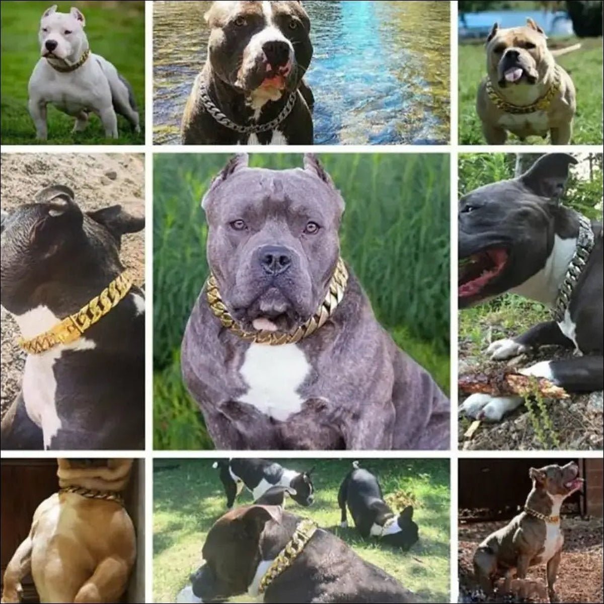 Colliers Robustes En Chaîne Pour Chien - 14:29#Gold;5:361386#14inch(35cm) - Colliers - Chienalafolie