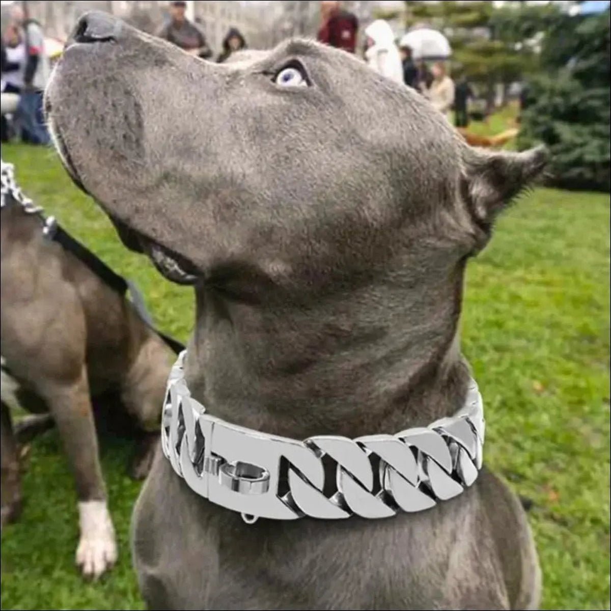 Colliers Robustes En Chaîne Pour Chien - 14:29#Gold;5:361386#14inch(35cm) - Colliers - Chienalafolie