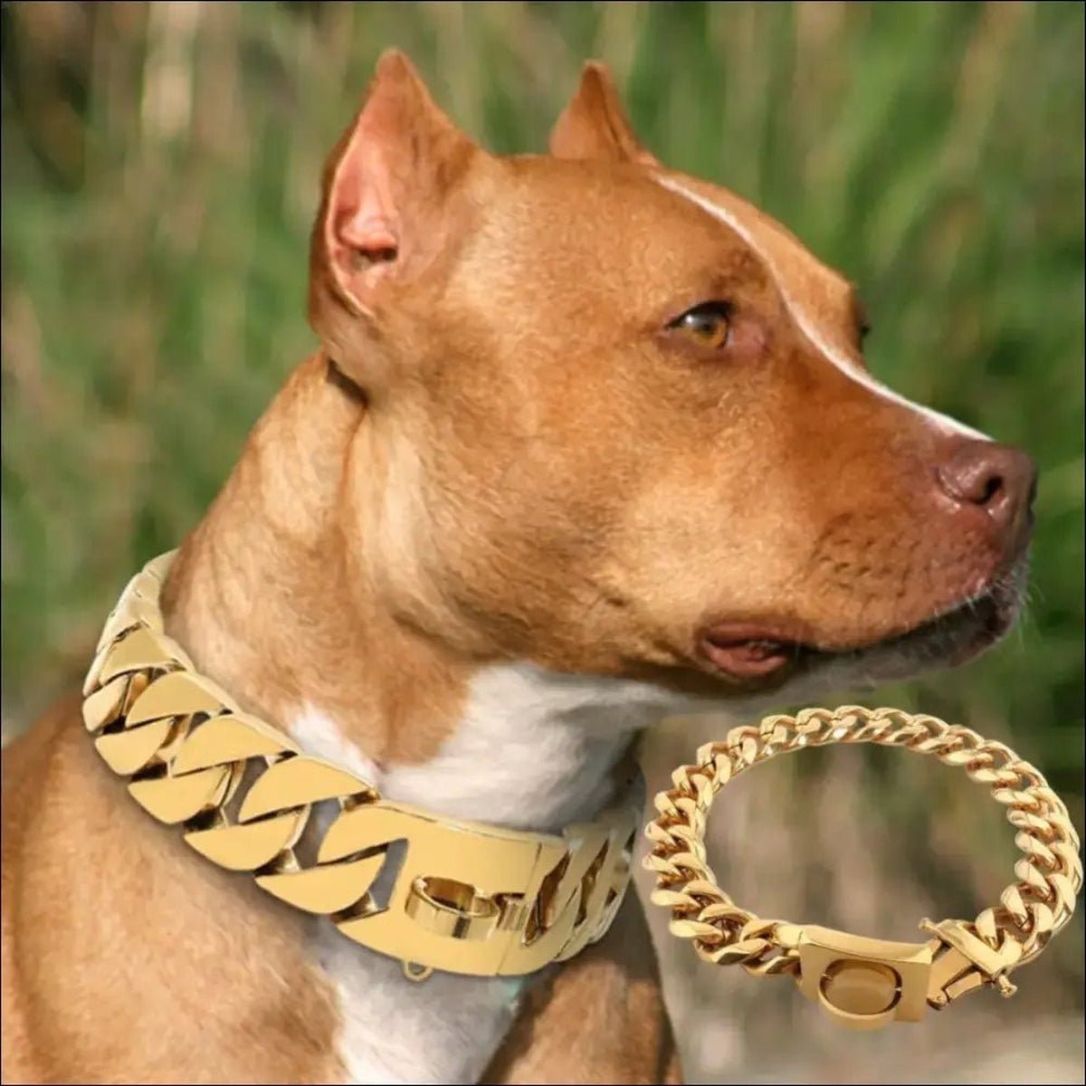 Colliers Robustes En Chaîne Pour Chien - 14:29#Gold;5:361386#14inch(35cm) - Colliers - Chienalafolie