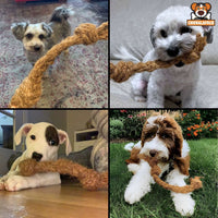 Dogs Enjoying with Coconut Rope
