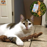 Cat Playing with Coconut Rope Size Small S

