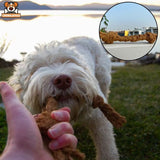 Pet Forcing Owner to Play More with Coconut Rope
