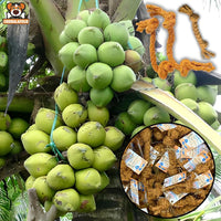 from Raw Coconut to Processed Rope
