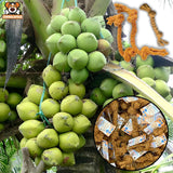 from Raw Coconut to Processed Rope
