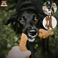 Dog Stretching Coconut Rope for Dogs 
