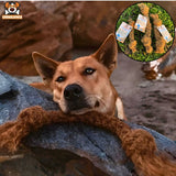 Dog with Coconut Rope
