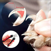 Coupe - griffe Essential Cutter Pour Animaux - CJJJCWGY01326 - Red - S - Coupe - griffes - Chienalafolie