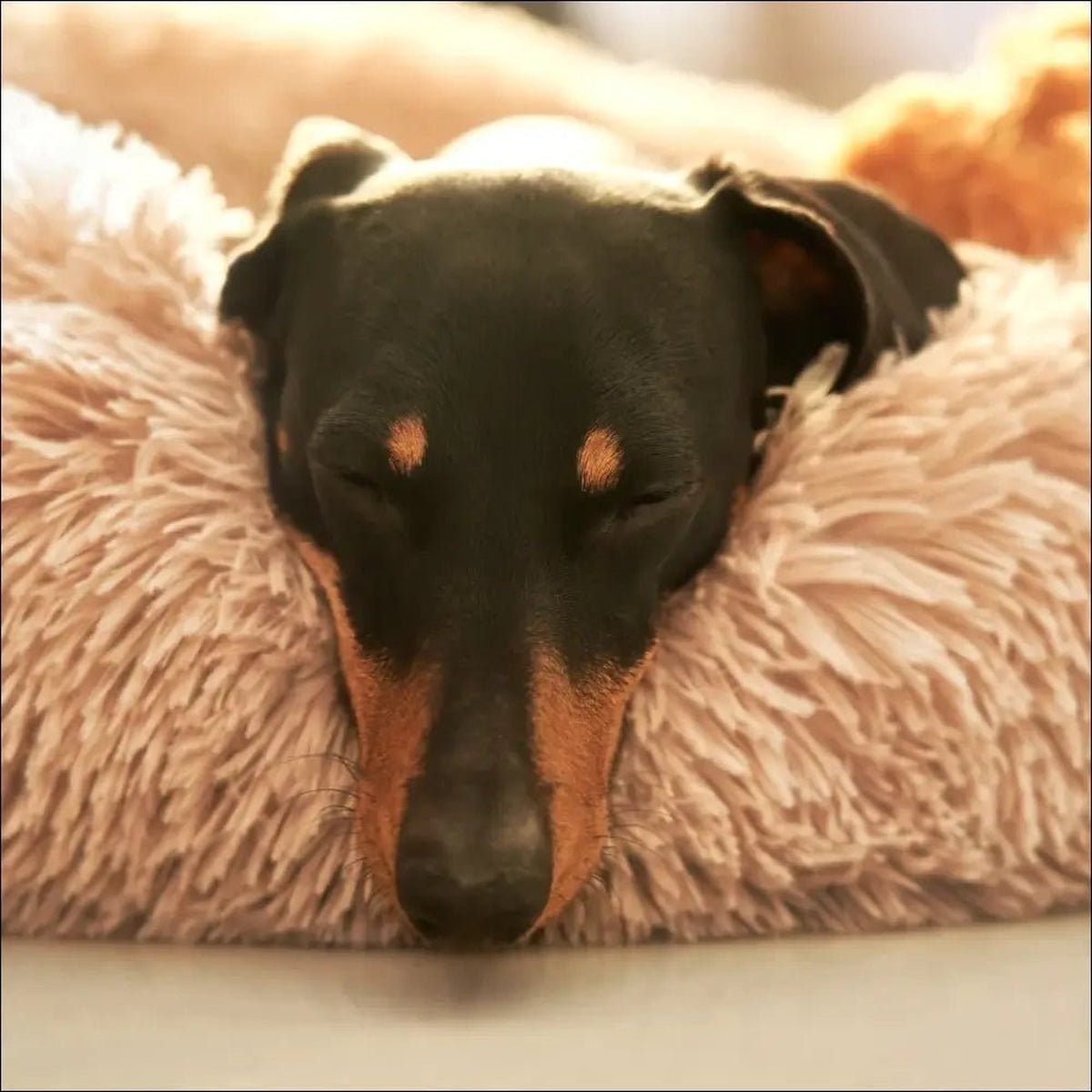 Coussin Confortable Dogplace Pour Chiens - CJGY182030058FU - Paniers - Chienalafolie