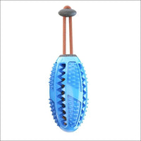 Dentaldog Brosse à Dent Et Jouet Pour Chien - CJGY110888702BY - Balles - Chienalafolie