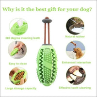 Dentaldog Brosse à Dent Et Jouet Pour Chien - CJGY110888702BY - Balles - Chienalafolie