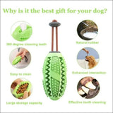 Dentaldog Brosse à Dent Et Jouet Pour Chien - CJGY110888702BY - Balles - Chienalafolie