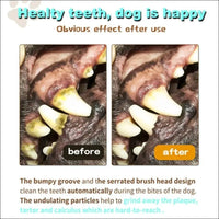 Dentaldog Brosse à Dent Et Jouet Pour Chien - CJGY110888702BY - Balles - Chienalafolie