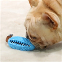 Dentaldog Brosse à Dent Et Jouet Pour Chien - CJGY110888702BY - Balles - Chienalafolie