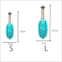 Dentaldog Brosse à Dent Et Jouet Pour Chien - CJGY110888702BY - Balles - Chienalafolie