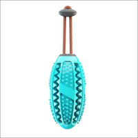 Dentaldog Brosse à Dent Et Jouet Pour Chien - CJGY110888708HS - Balles - Chienalafolie