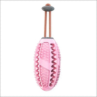 Dentaldog Brosse à Dent Et Jouet Pour Chien - CJGY110888710JQ - Balles - Chienalafolie