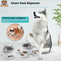 Distributeur Chien Interactif Pression AntiGlouton - CJMY185936101AZ - Distributeurs de nourriture - Chienalafolie