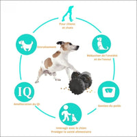 Distributeur Croquettes Swingpuz Pour Chien - CJYD162594301AZ - Distributeurs de nourriture - Chienalafolie
