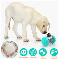 Distributeur Croquettes Swingpuz Pour Chien - CJYD162594301AZ - Distributeurs de nourriture - Chienalafolie