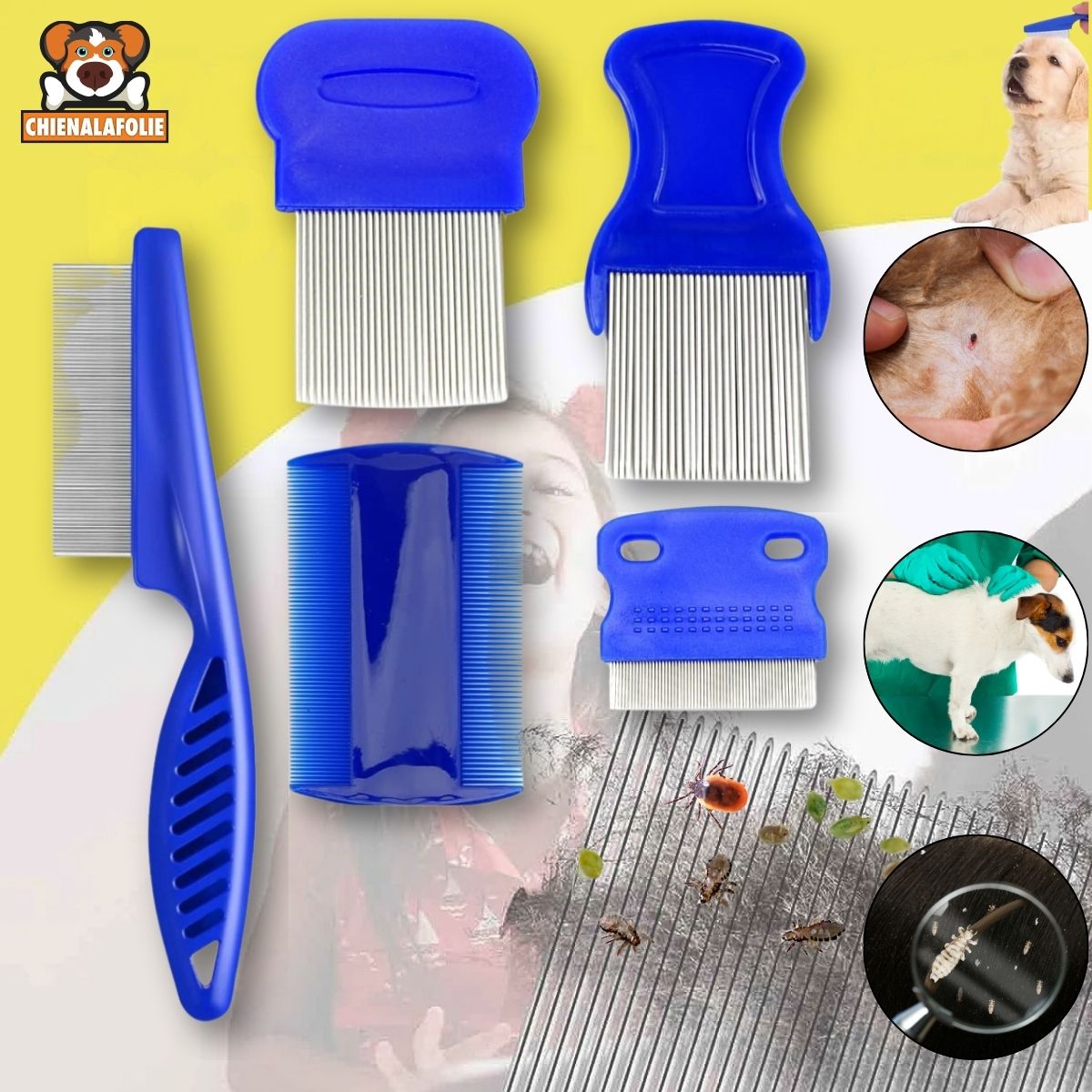 Ensemble de Peignes Anti - Puces pour Animaux - CJYD208569403CX - Peignes et brosses - Chienalafolie