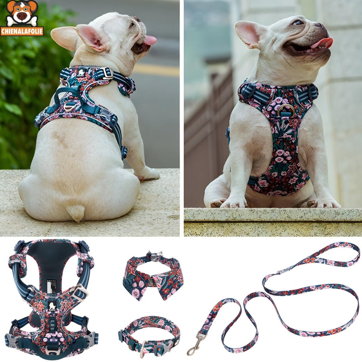 Ensemble Harnais, Laisse et Collier Floral Assortis - CJGX105020901AZ - Harnais - Chienalafolie
