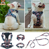 Ensemble Harnais, Laisse et Collier Floral Assortis - CJGX105020901AZ - Harnais - Chienalafolie